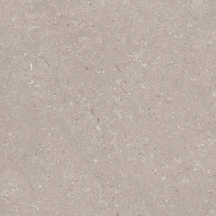 Porcelanosa Coral topo 80 × 80 cm vloertegels