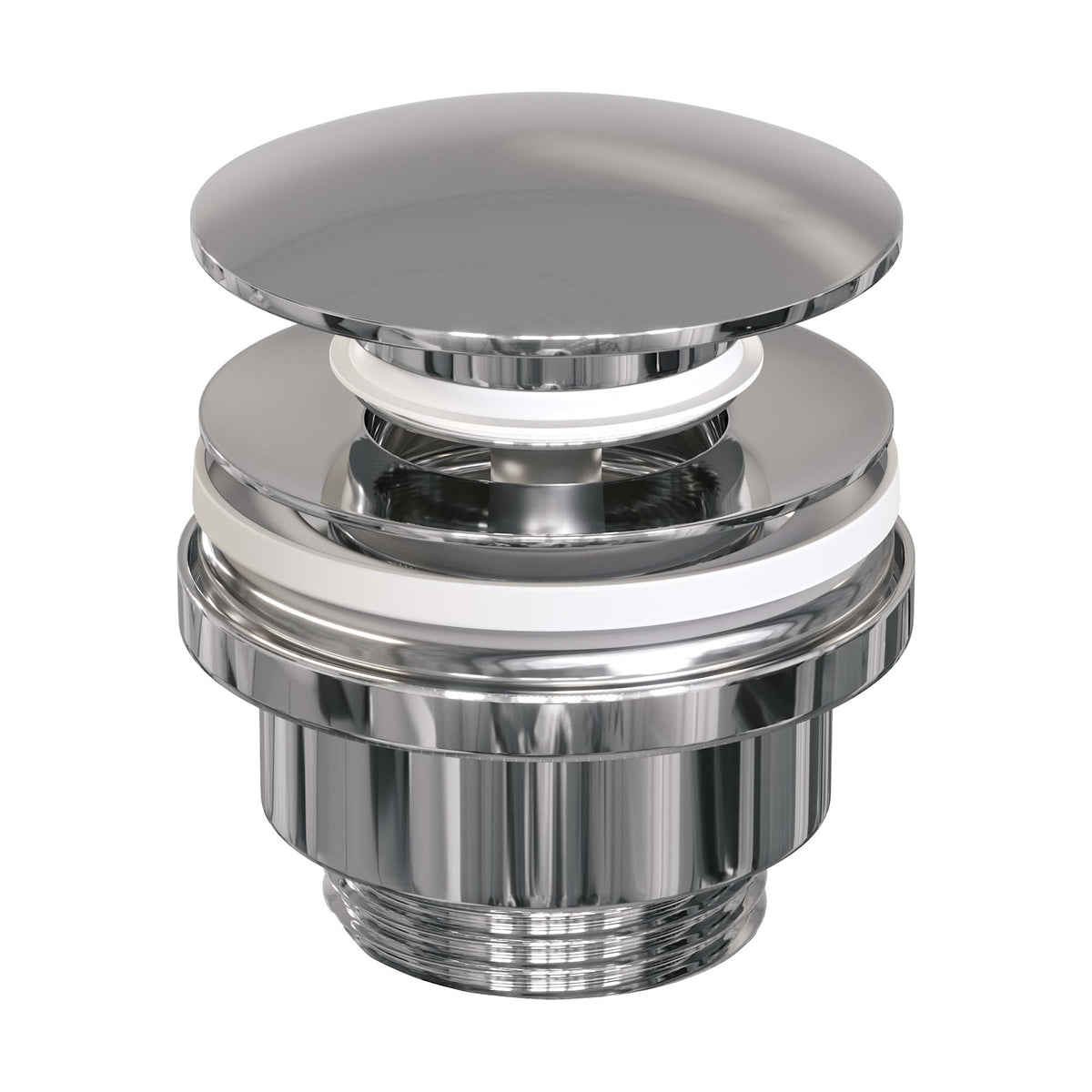 Brauer 5-CE-008