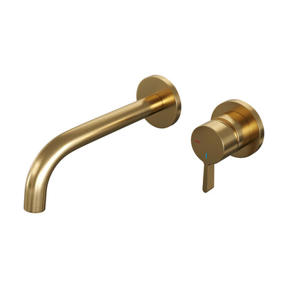 Brauer 5-GG-004-B1-65
