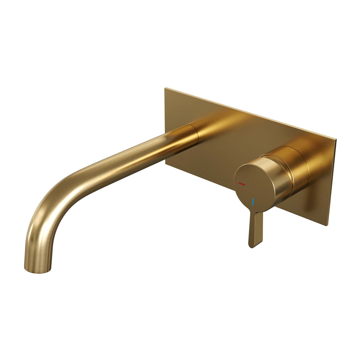 Brauer 5-GG-004-B1