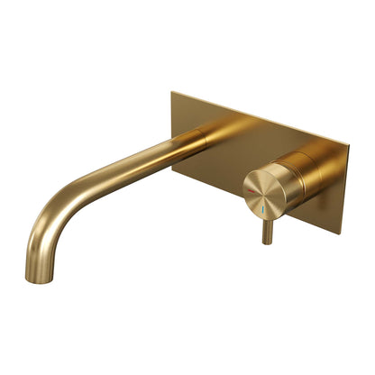 Brauer 5-GG-004-B5