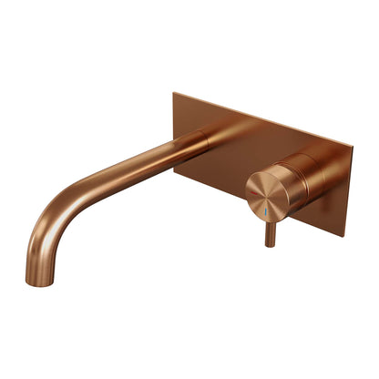 Brauer 5-GK-004-B5