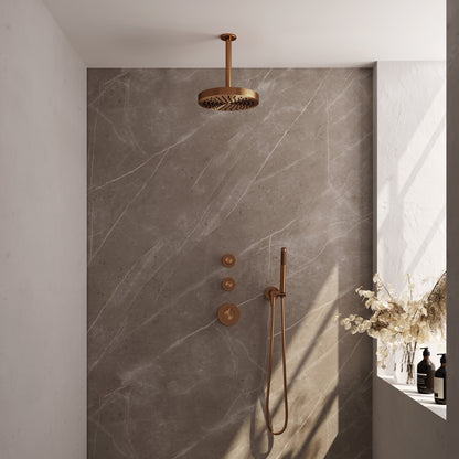 Brauer 5-GK-369