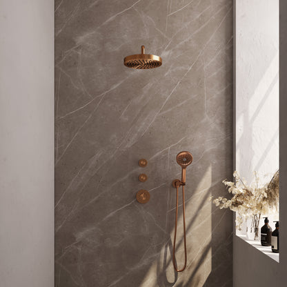 Brauer 5-GK-373