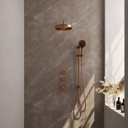 Brauer 5-GK-385
