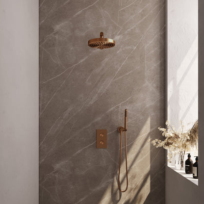 Brauer 5-GK-389