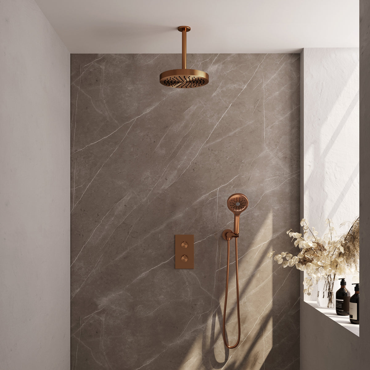 Brauer 5-GK-399