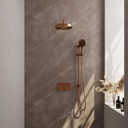 Brauer 5-GK-433