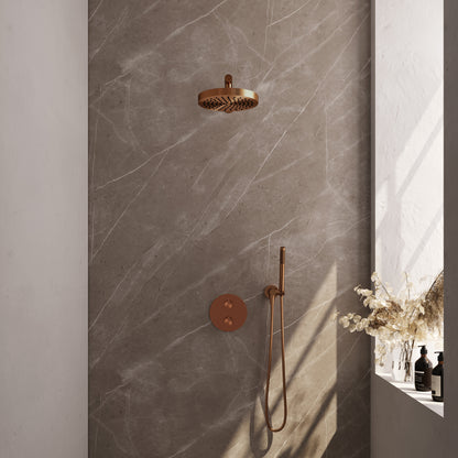 Brauer 5-GK-437