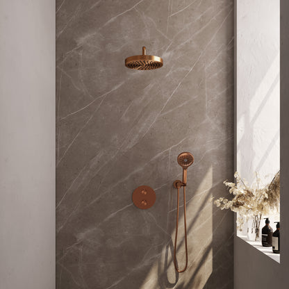 Brauer 5-GK-445