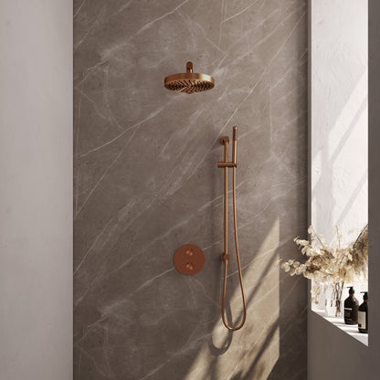 Brauer 5-GK-449