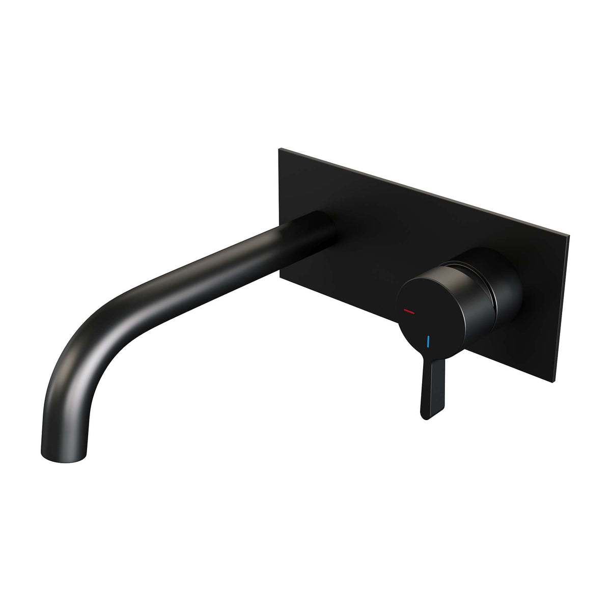 Brauer 5-S-004-B1
