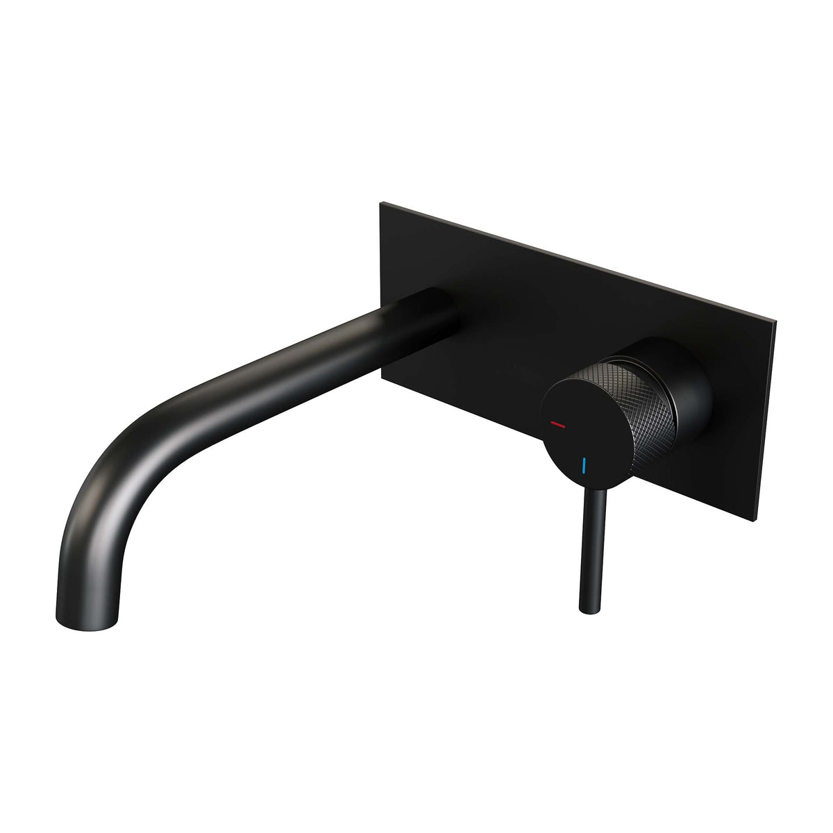 Brauer 5-S-004-B6
