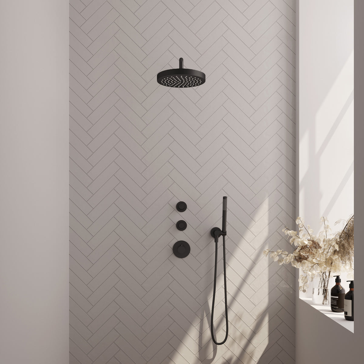 Brauer 5-S-367