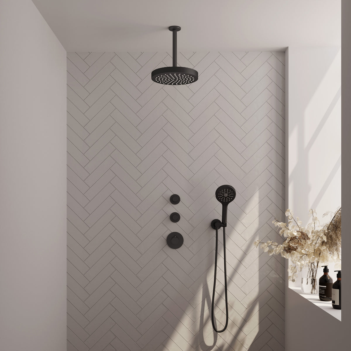 Brauer 5-S-369