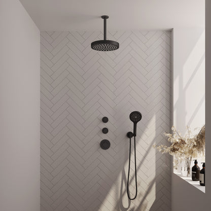 Brauer 5-S-369