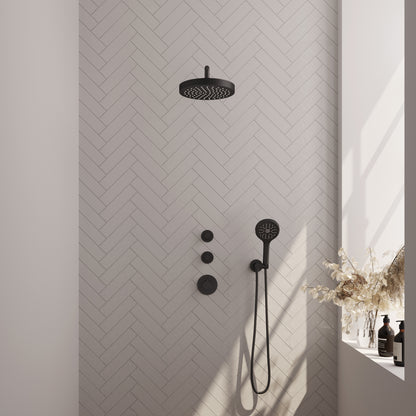 Brauer 5-S-373