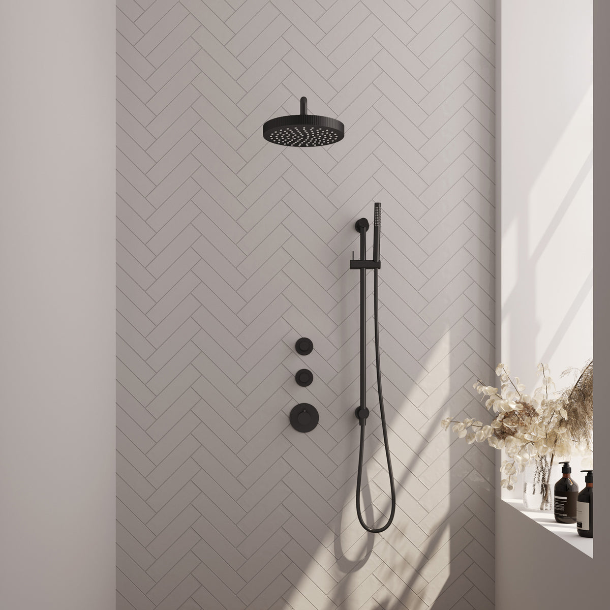 Brauer 5-S-379