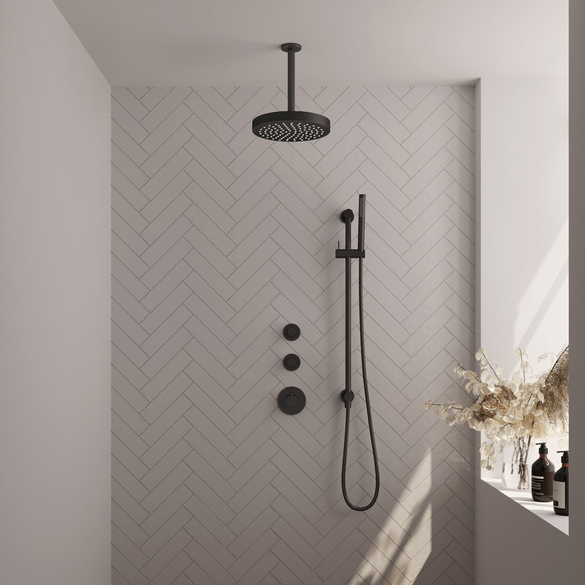 Brauer 5-S-381