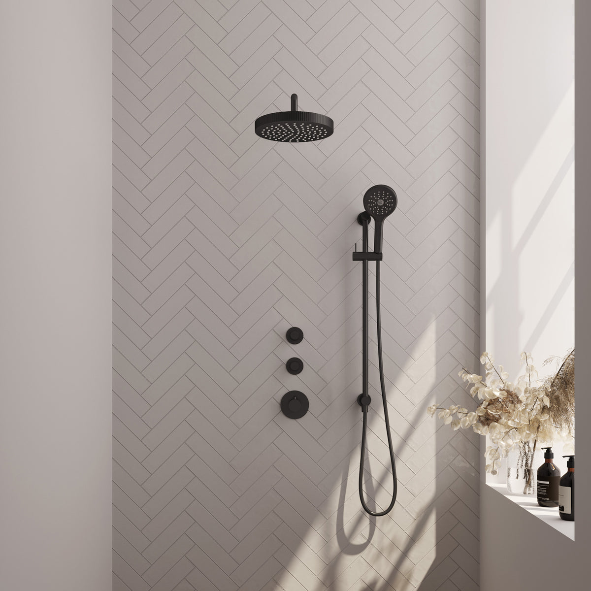 Brauer 5-S-385