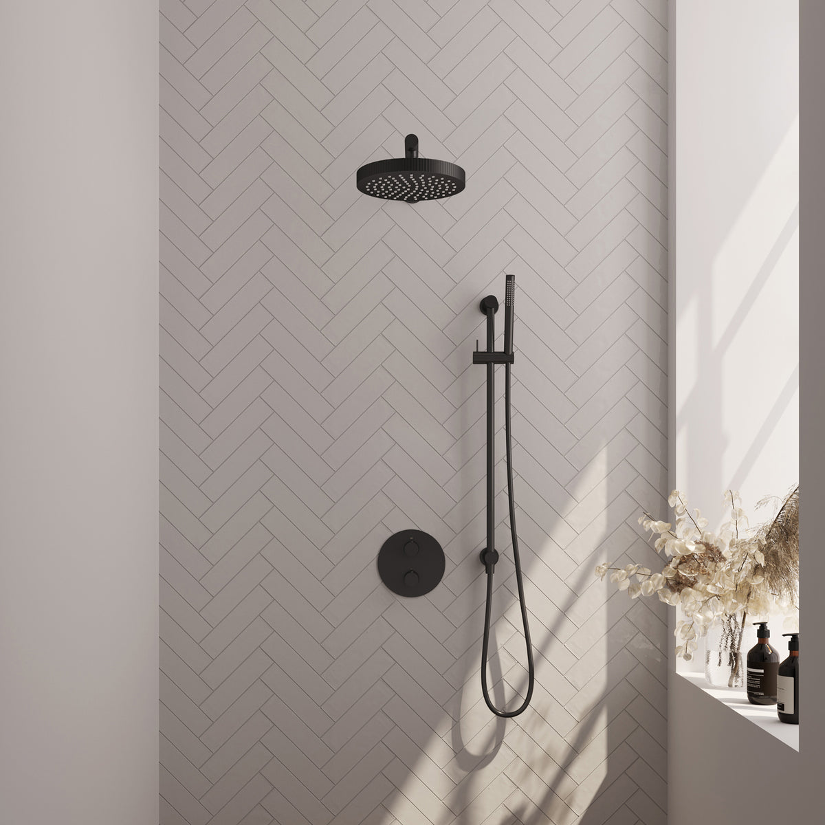 Brauer 5-S-449