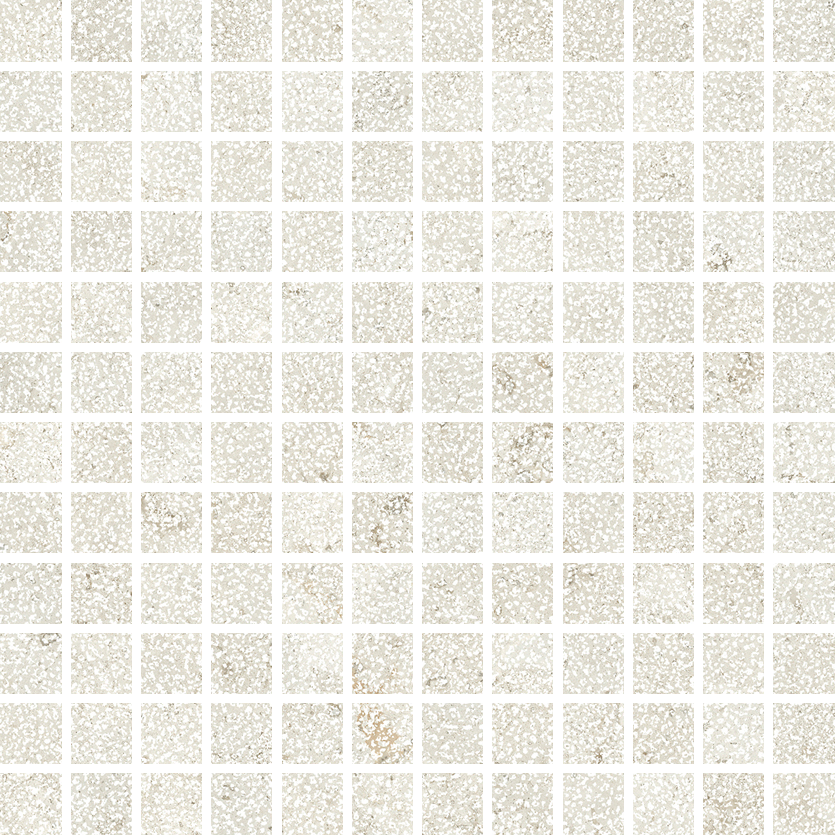 Living Ceramics VERSO VERSO Cross Cut VERSO CROSS CUT LIGHT VERSO CROSS CUT LIGHT BHAS MOSAIC 25