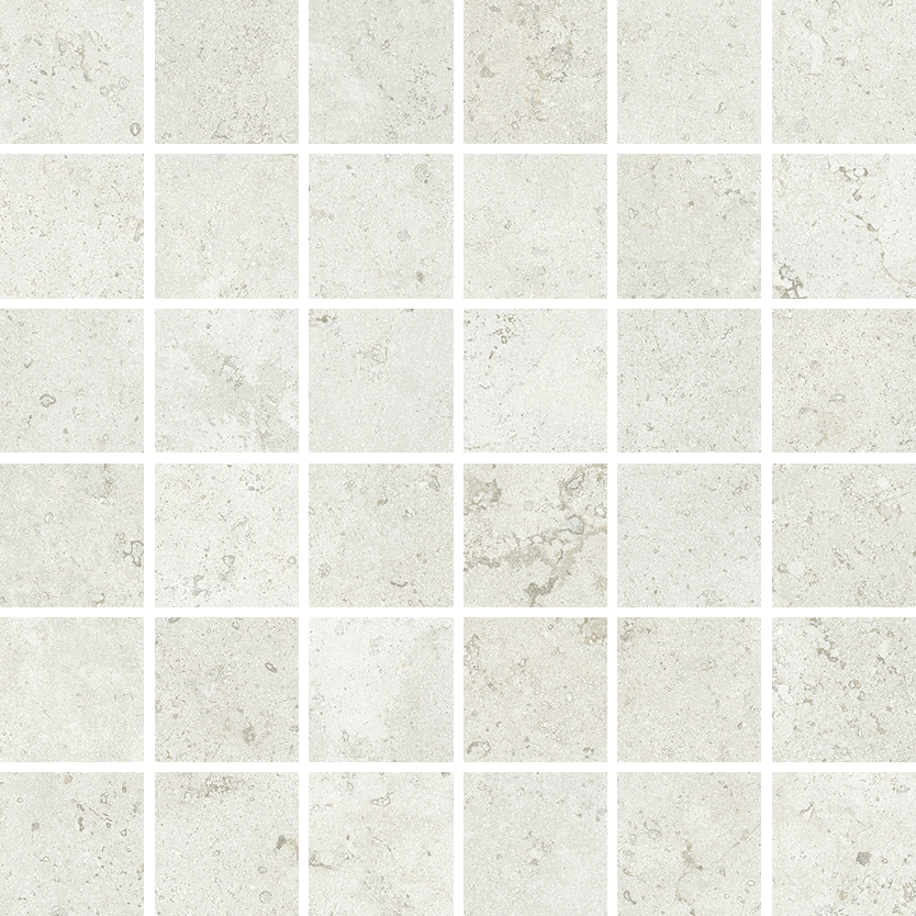 Living Ceramics VERSO VERSO Cross Cut VERSO CROSS CUT LIGHT VERSO CROSS CUT LIGHT HONED MOSAIC 55